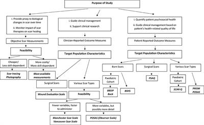 Scar Assessment Tools: How Do They Compare?